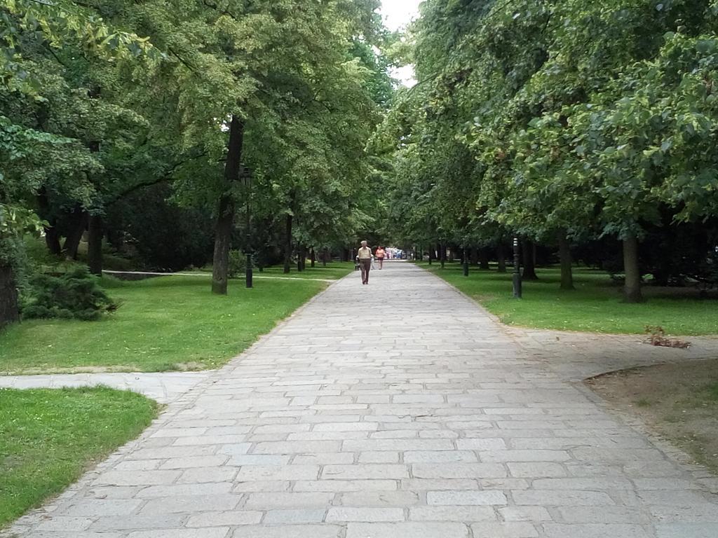 Manhattan Penzion Pisek  Bagian luar foto